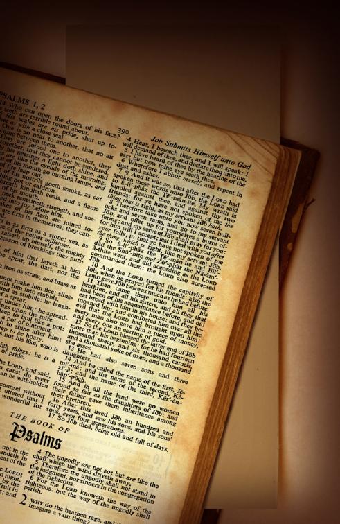 1184199 98973662 - Odlišnost evangelií jako argument proti důvěryhodnosti Bible